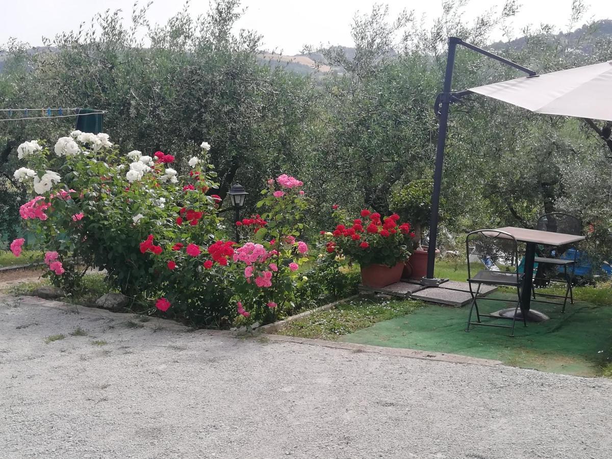 B&B Ripalta Sogliano al Rubicone Exterior foto