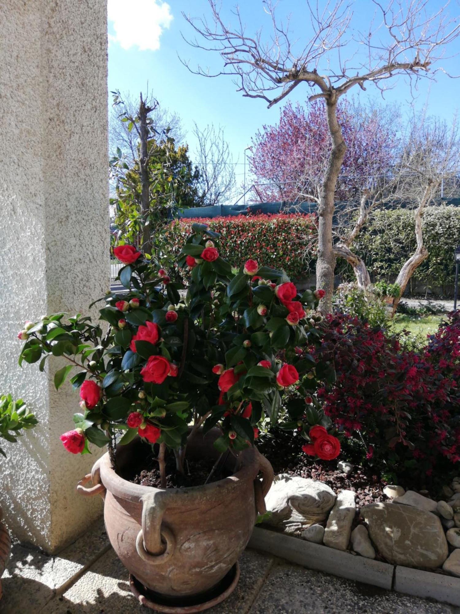B&B Ripalta Sogliano al Rubicone Exterior foto