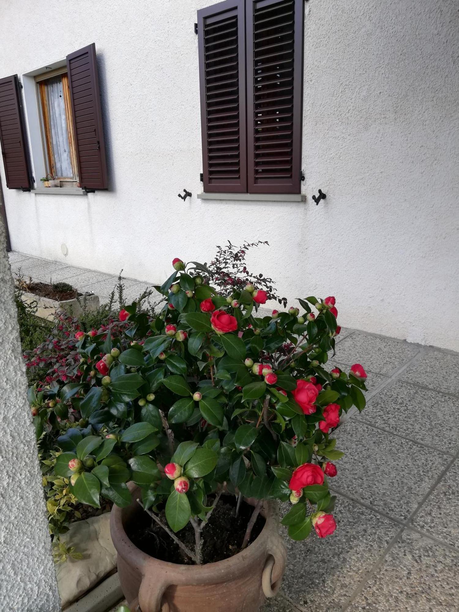 B&B Ripalta Sogliano al Rubicone Exterior foto