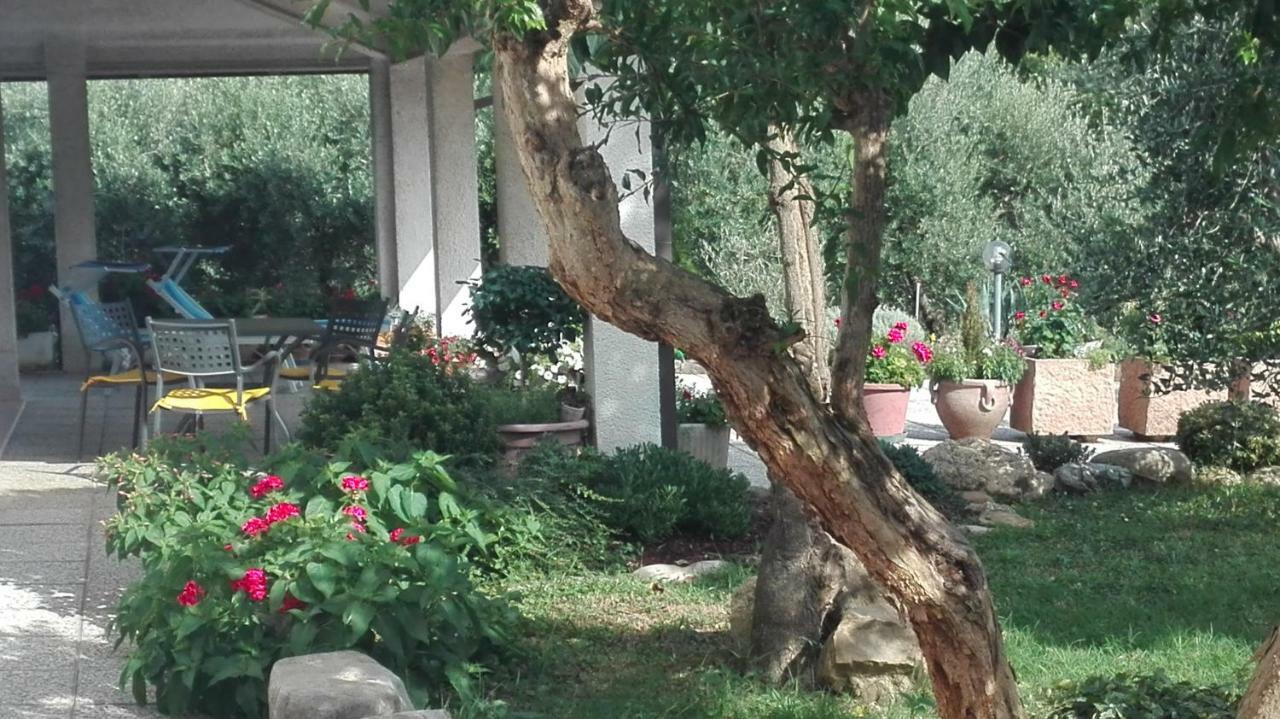 B&B Ripalta Sogliano al Rubicone Exterior foto
