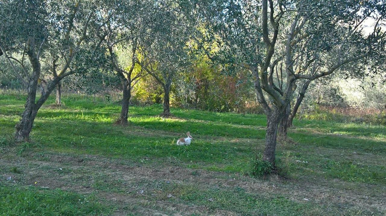B&B Ripalta Sogliano al Rubicone Exterior foto