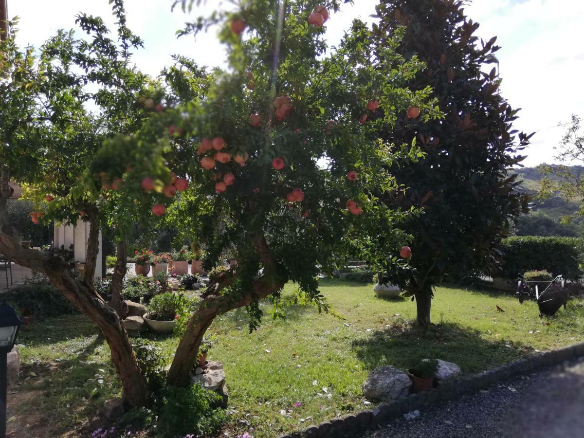 B&B Ripalta Sogliano al Rubicone Exterior foto