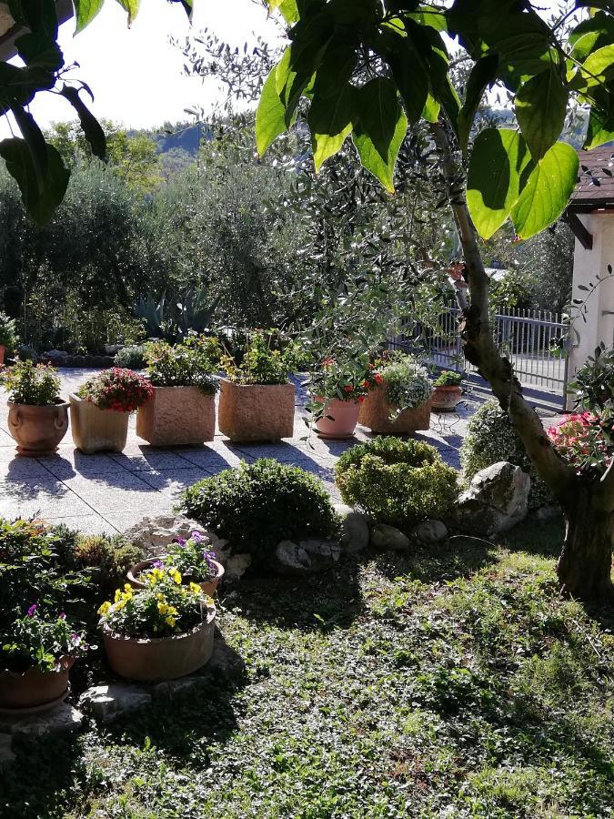 B&B Ripalta Sogliano al Rubicone Exterior foto